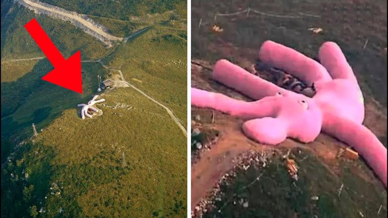 a-verdade-sobre-o-coelho-de-pelucia-gigante
