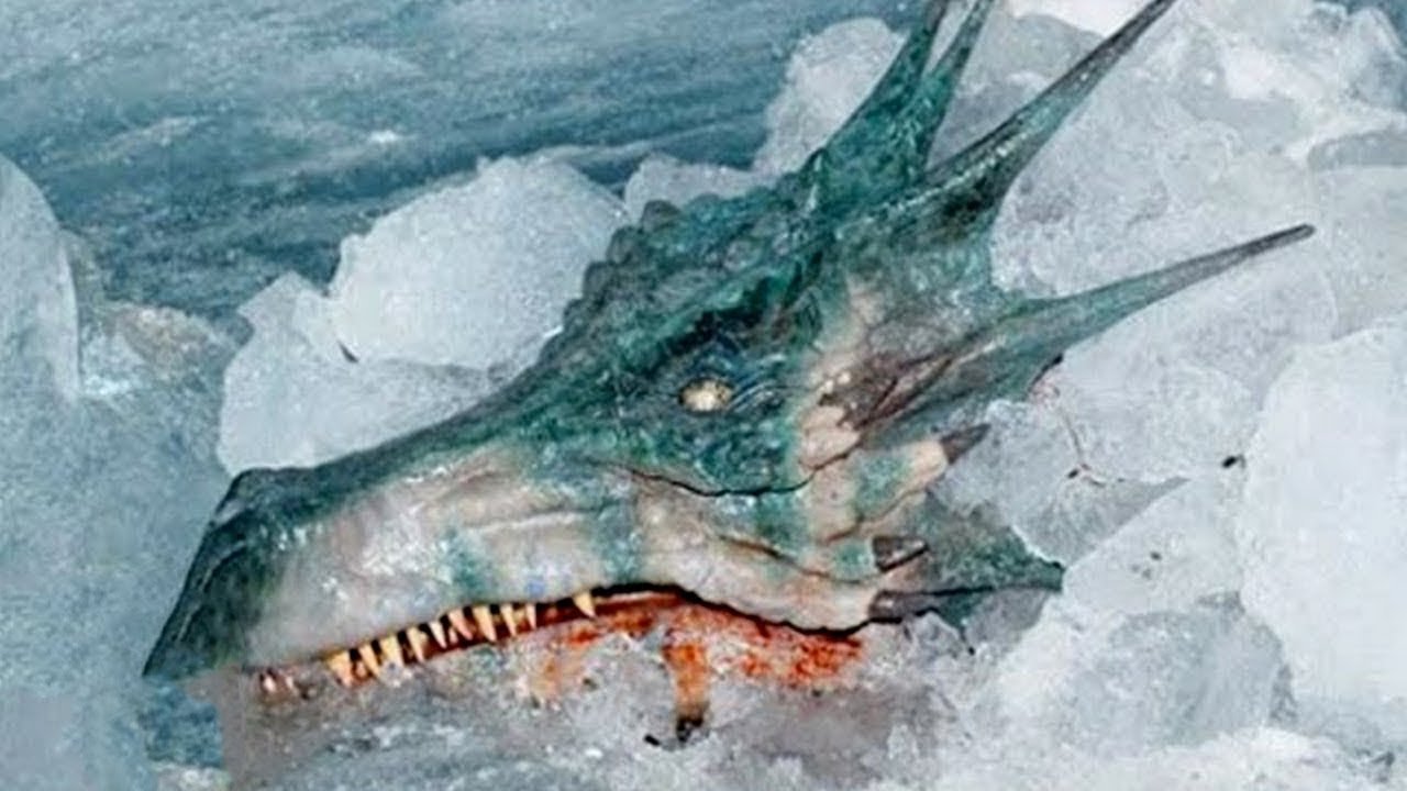 10-animais-extintos-que-nao-queremos-trazer-de-volta-a-vida