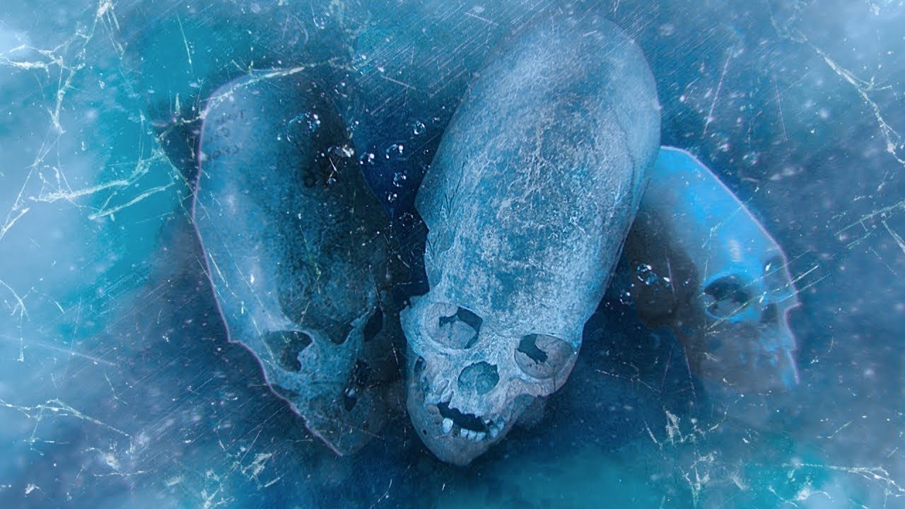 as-10-criaturas-mais-bizarras-encontradas-na-antartica